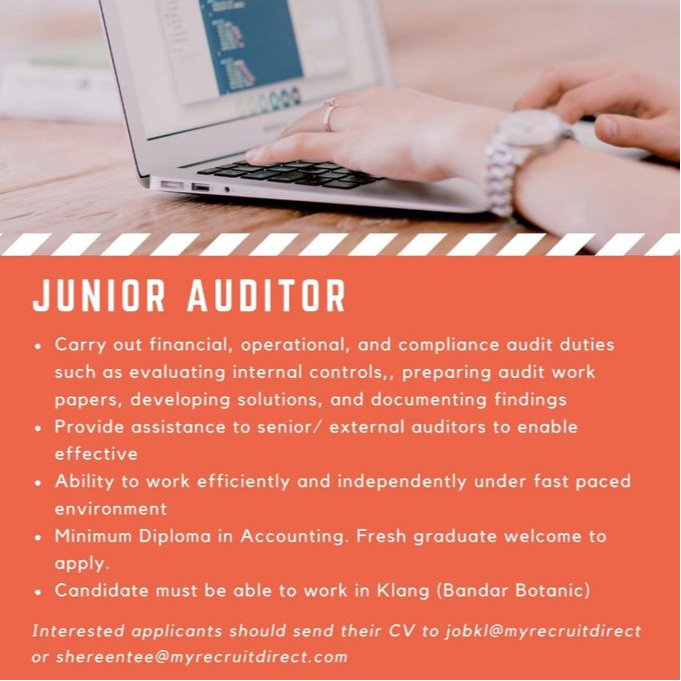 Junior Auditor