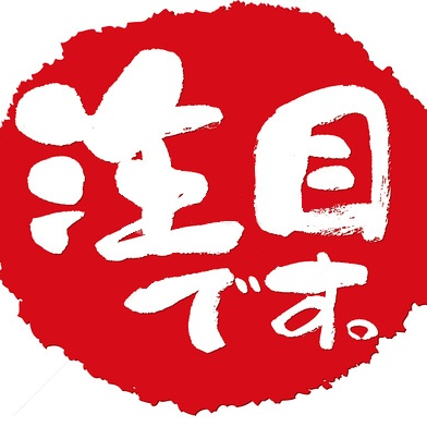 Japanese Speaking Engineer