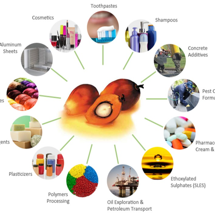 SCM Asst Manager or Manager